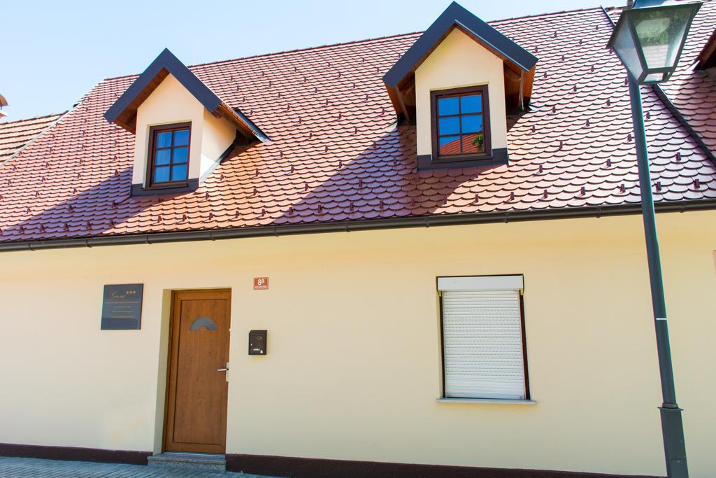 Apartment Gasa Brežice Esterno foto