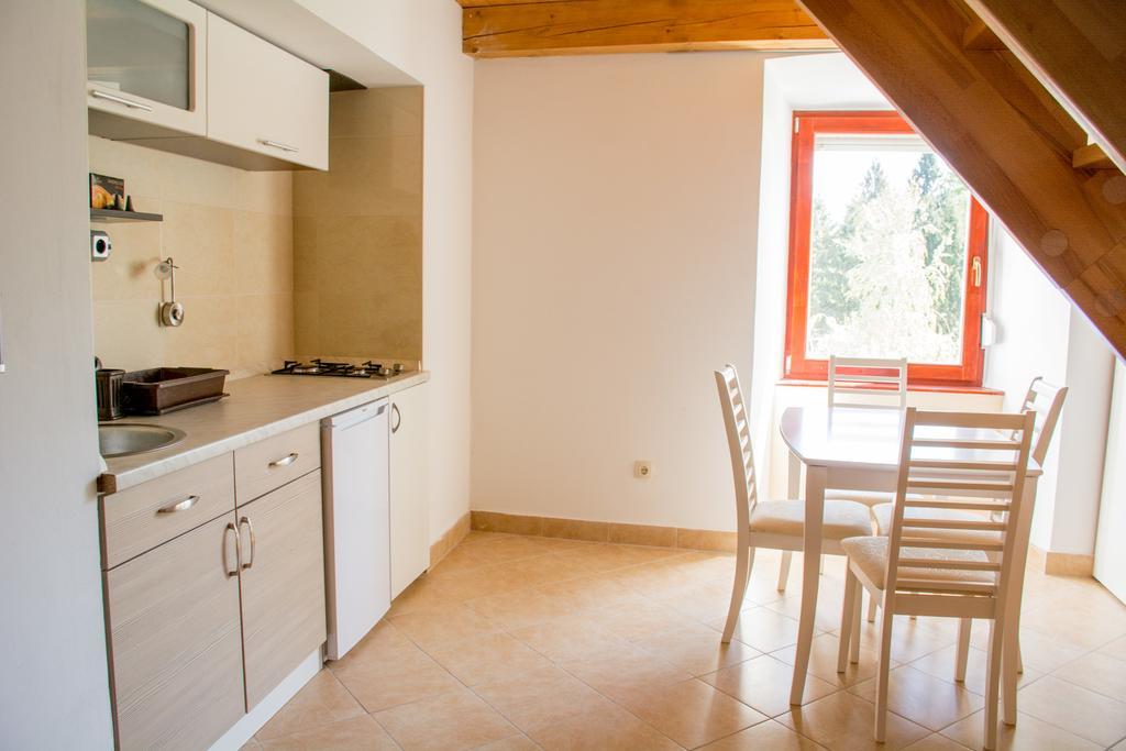 Apartment Gasa Brežice Esterno foto